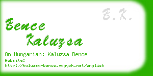 bence kaluzsa business card